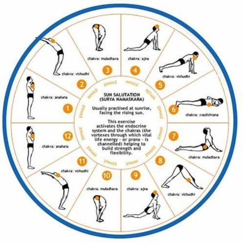Start your day with Surya Namaskara