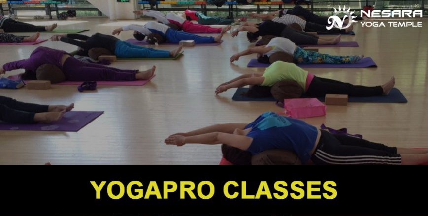 yogapro-classes